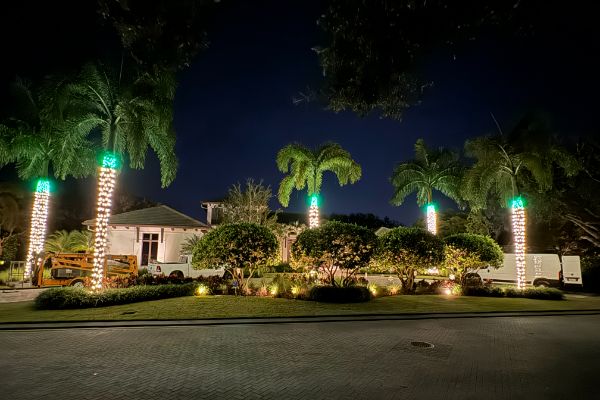 Christmas light installation Kissimmee FL featuring palm tree lighting with teal accents