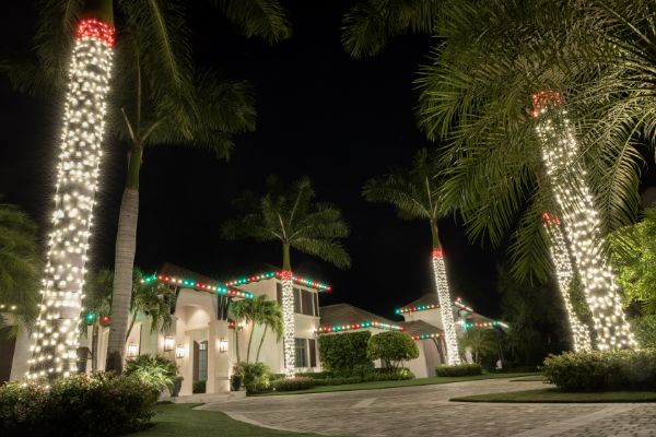 Christmas light installation Winter Garden FL featuring warm white palm tree wraps and roofline