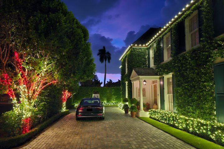 Christmas light installation on wrapped yard trees and a palm, the same work we do in Windermere