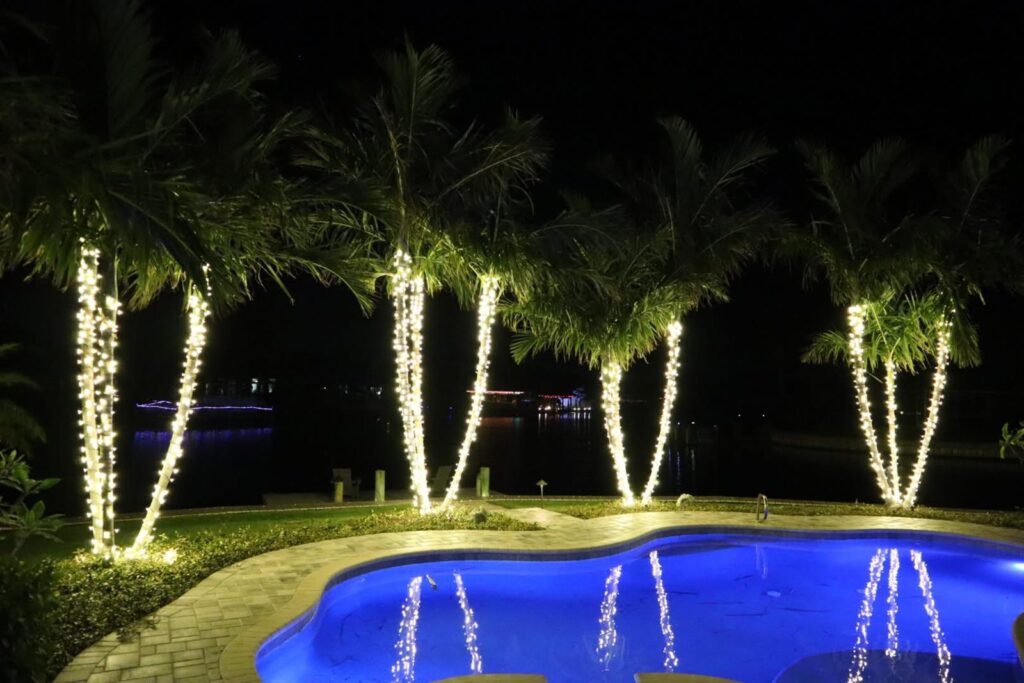 Christmas lights on palm trees wrapped in warm white beside a pool