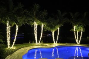 Palm trees wrapped in warm white Christmas lights beside a pool