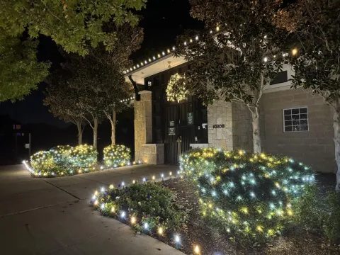 Commercial entrance with shrubs lit in green, blue and warm white Christmas lights
